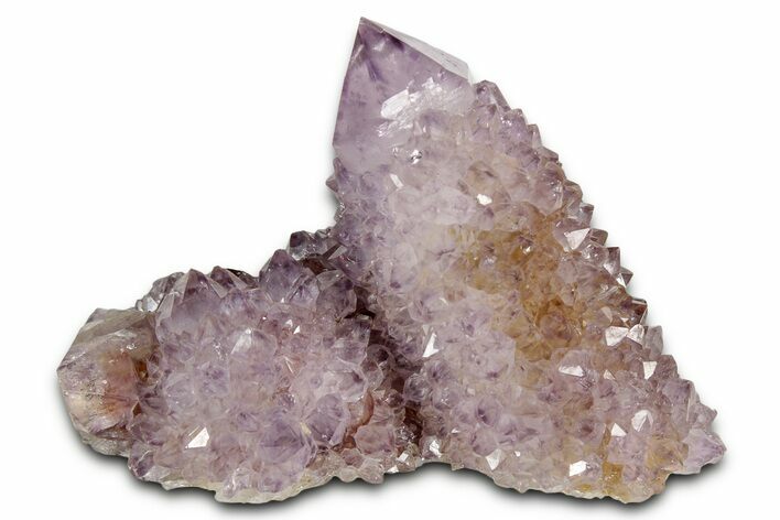 Sparkling Cactus Amethyst Crystal Cluster - South Africa #337613